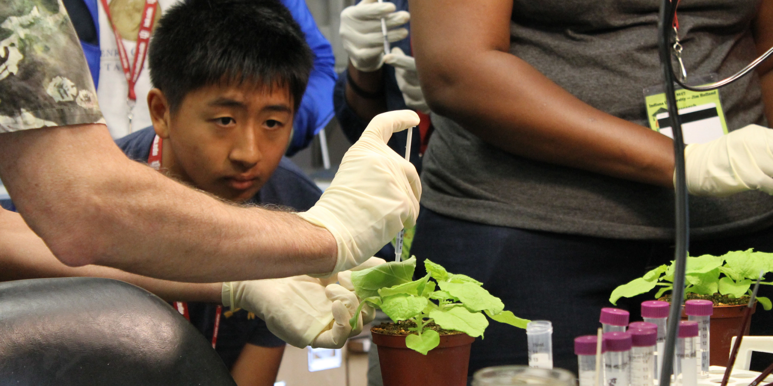A student watches as a syringe is used to apply a liquid to a plant