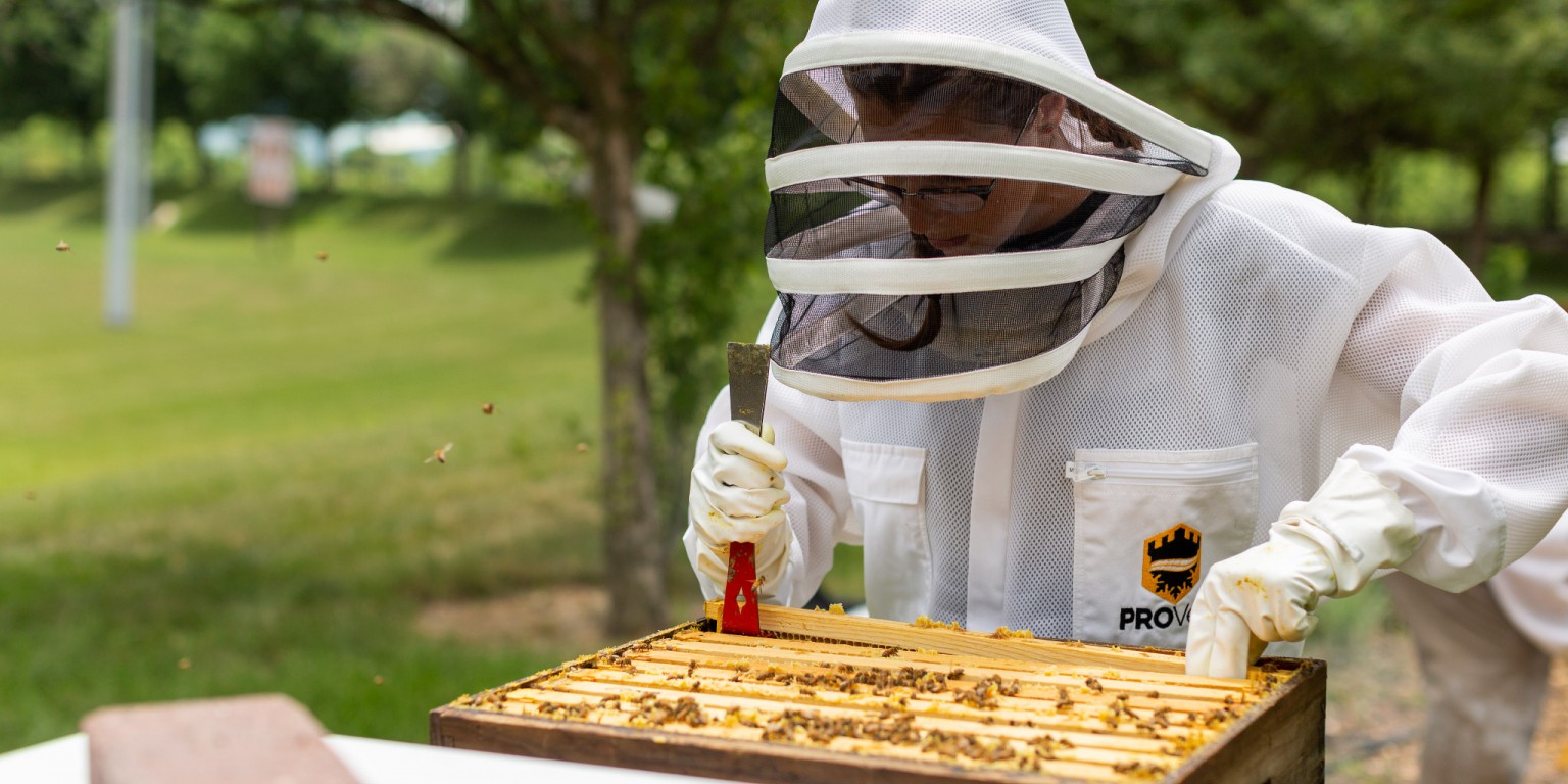 A beekeeper works on a hive.