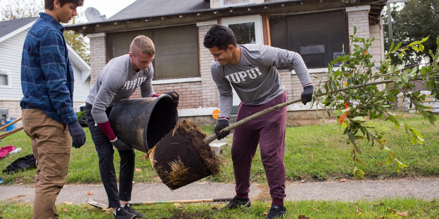 Students plant a tree.