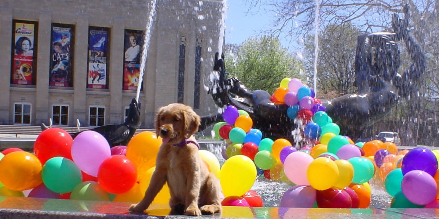 Sophie, a puppy, sits near the Showalter Fountain on the IU Bloomington campus.