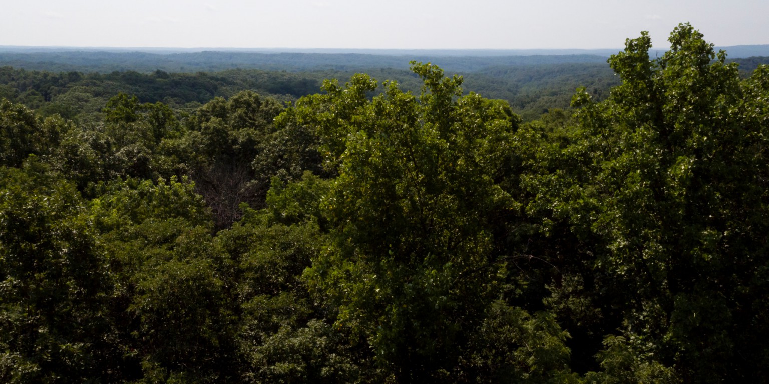 A bird's eye view of Lilly-Dickey Woods
