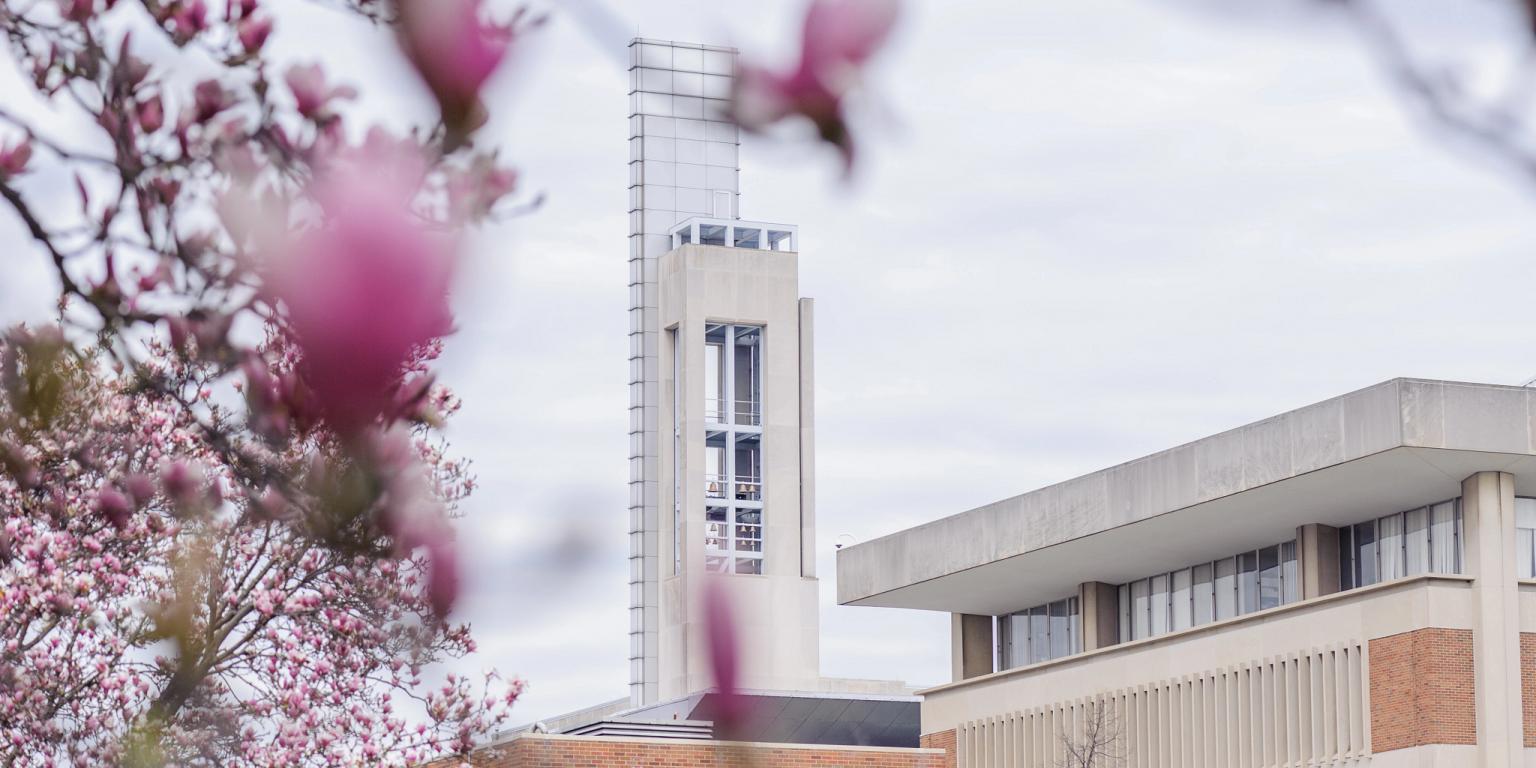 Campus Center framed between blooming tree branches