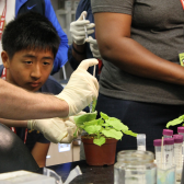 Holland Summer Science Programs transformational for young underrepresented students