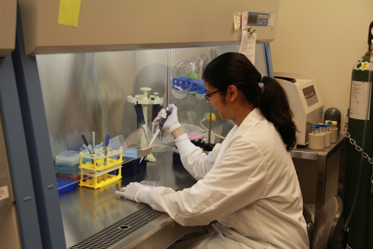 A researcher works on an experiment in Nick Berbari's lab