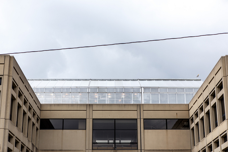 A view of IUPUI's greenhouse on top of the science building.