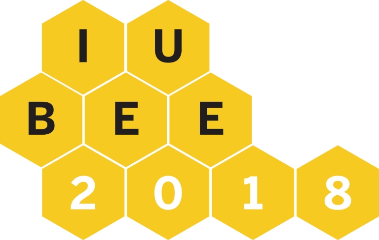 Graphic of honey combs that read 'IU Bee 2018'