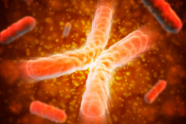 An illustration of a chromosome