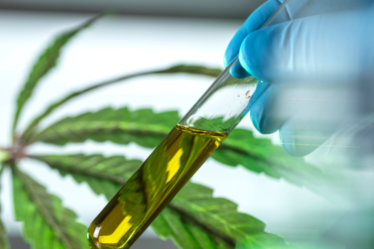 A hand in blue medical gloves holds a vial of CBD oil in front of a marijuana leaf