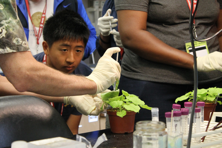A student watches as a syringe is used to apply a liquid to a plant