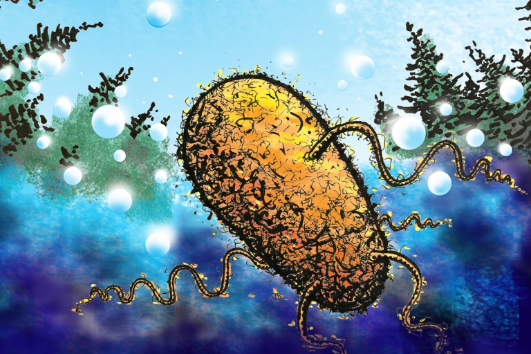 Illustration of a bacterium