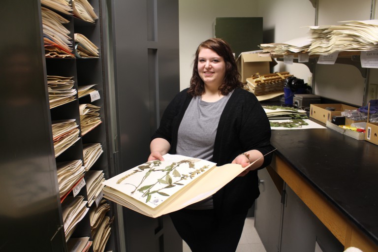 Sierra Ash with specimens collected in the region at the IU Southeast herbarium