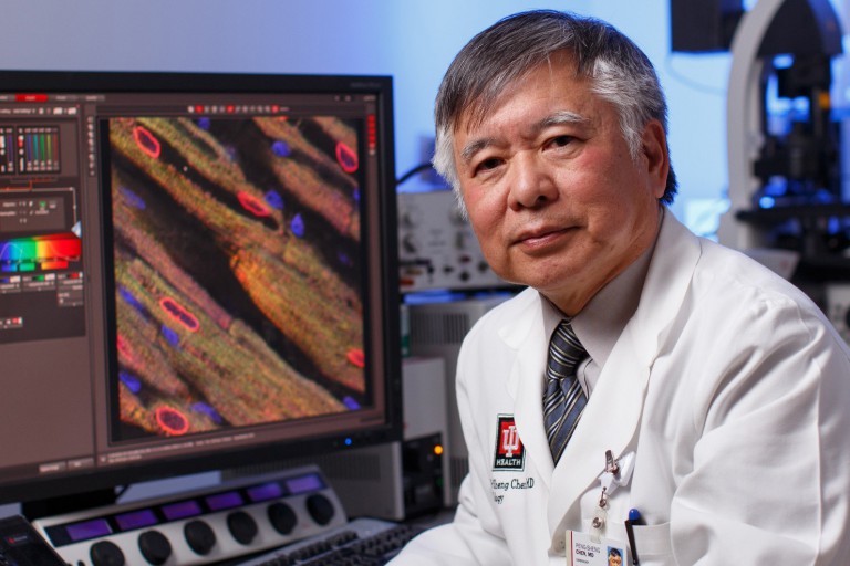 Dr. Peng-Sheng Chen, an IU School of Medicine researcher, works at a computer in his laboratory.