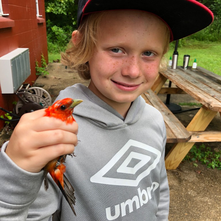 Nola Cusack holds a scarlet tanager