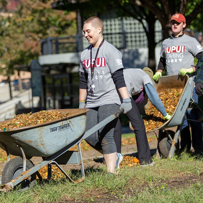 A group of students push a wheelbarrow with mulch in it, while others rake leaves. 