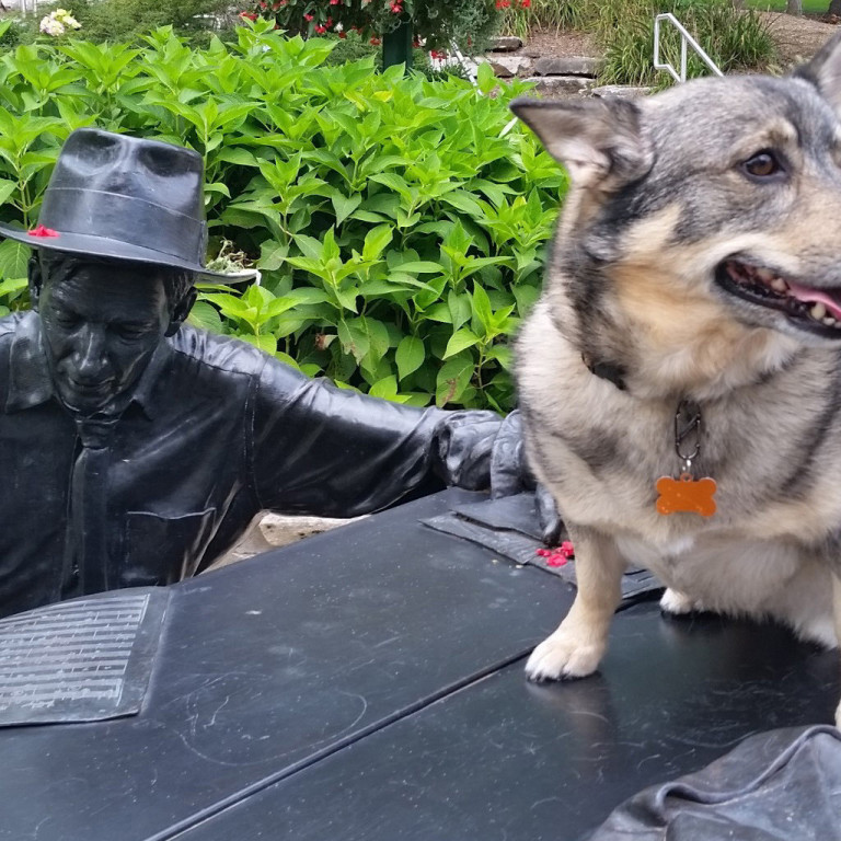 Fenrir, the dog, sits with the Hoagie Carmichael statue on the IU Bloomington campus.