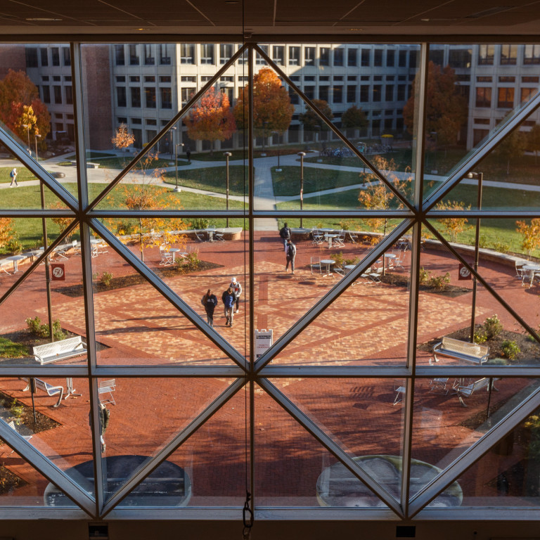 Looking out the windows of the University Library.