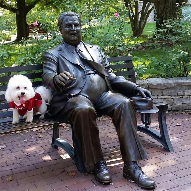 Zathras, the dog, poses with the Herman B Wells statue on the IU Bloomington campus.