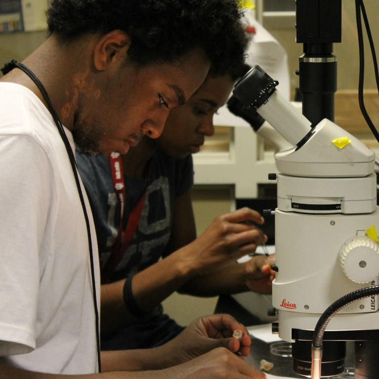 Two students work in a lab with microscopes