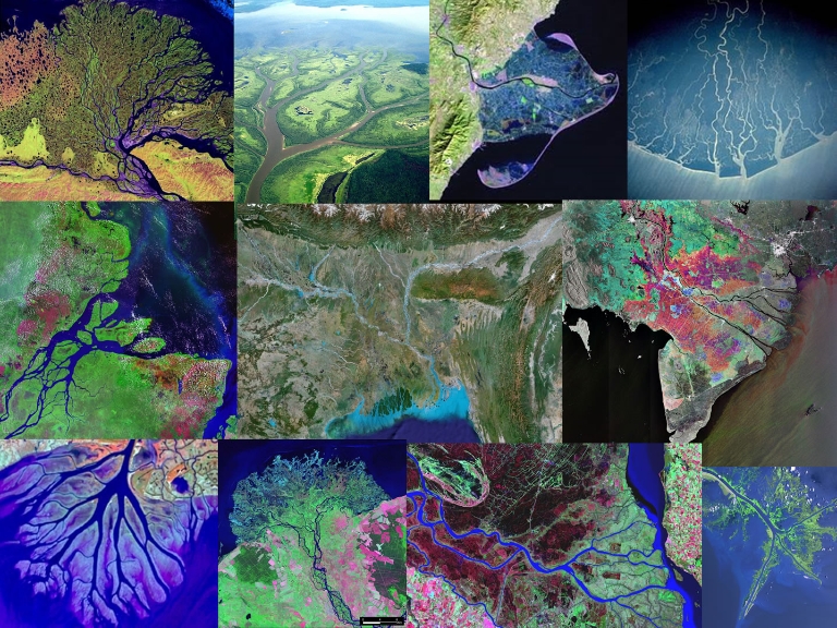 Collage of river deltas
