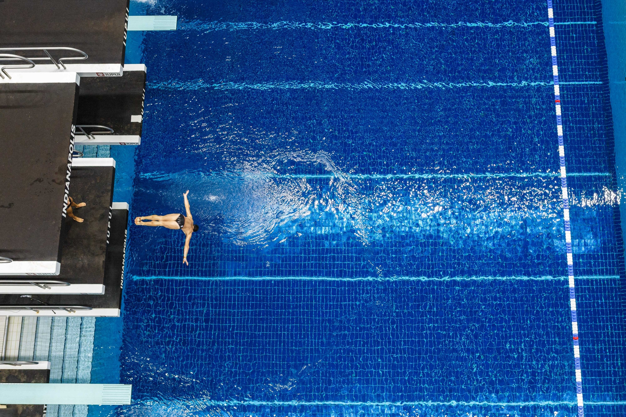 A swimmer dives into the Natatorium