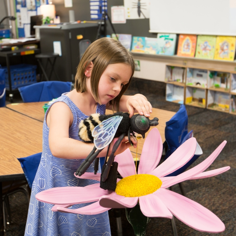 A first-grade student presses a bee puppet against a sensor shaped like a flower.