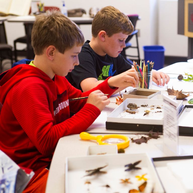 Kids draw bugs at the 'Illustration Station'