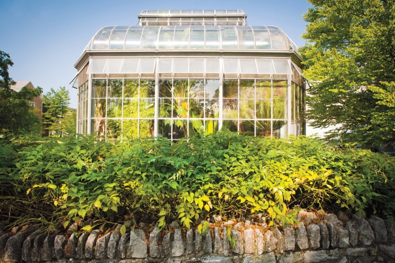 The Jordan Hall Greenhouse