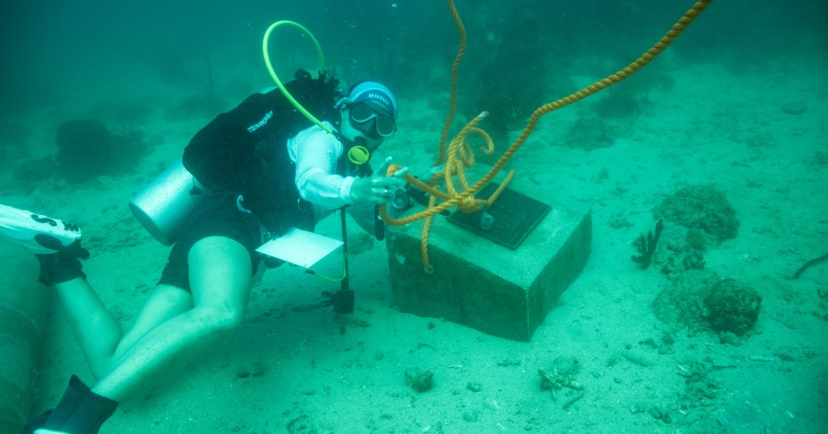 IU researchers open underwater museum in the Dominican Republic - IU Newsroom