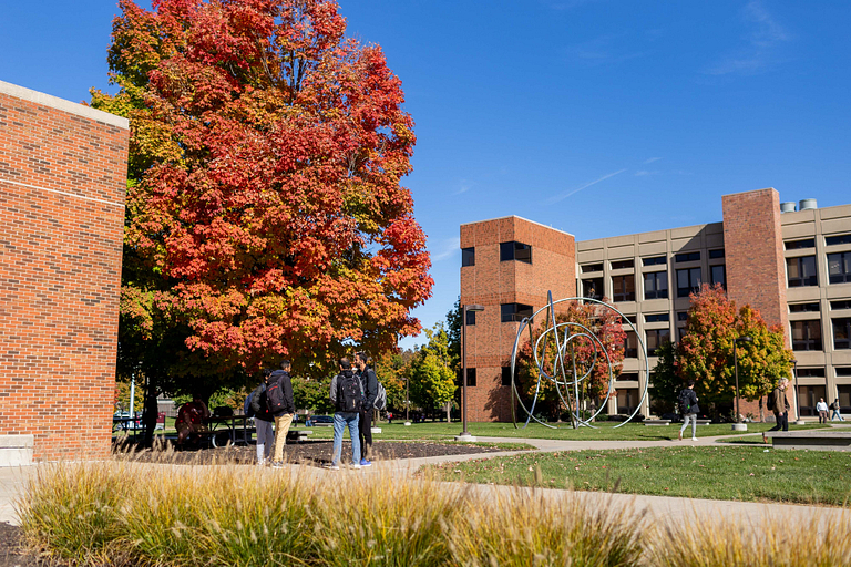 trees on campus