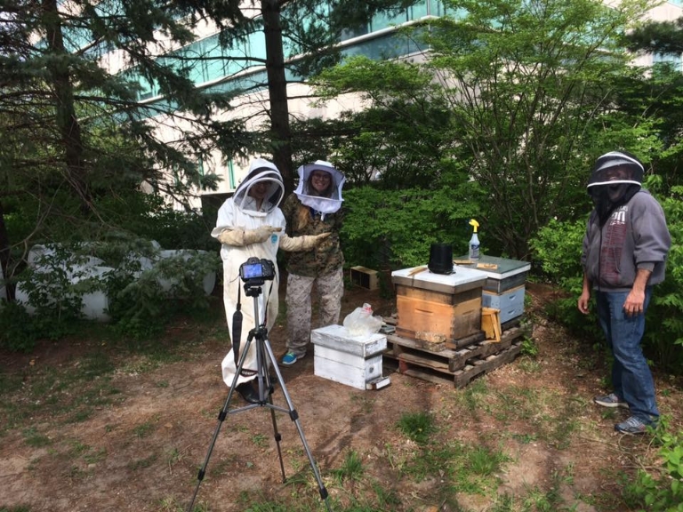 Bee hives being installed on IU South Bend's campus