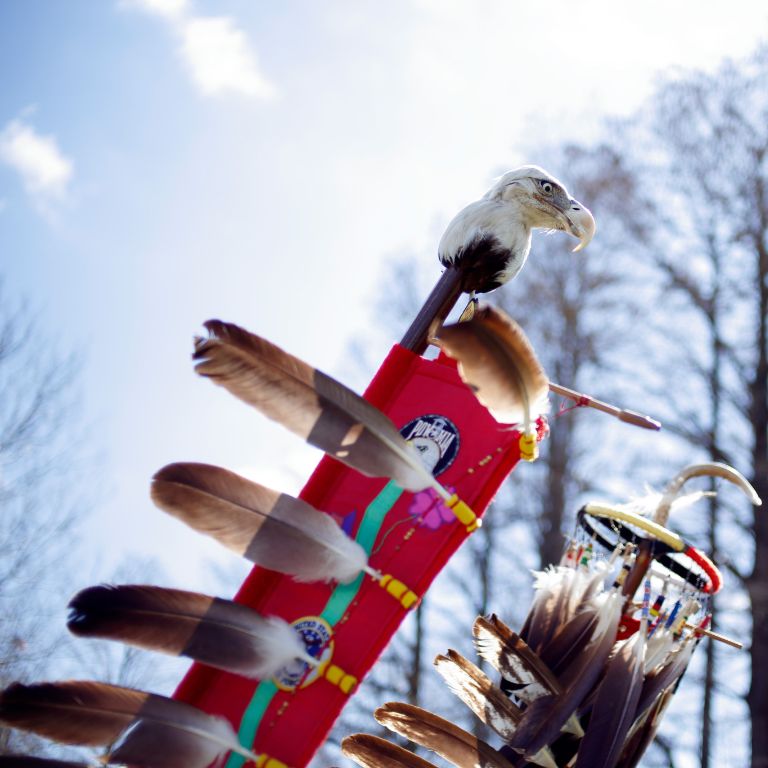 An eagle head on a ceremonial object at the IU powwow