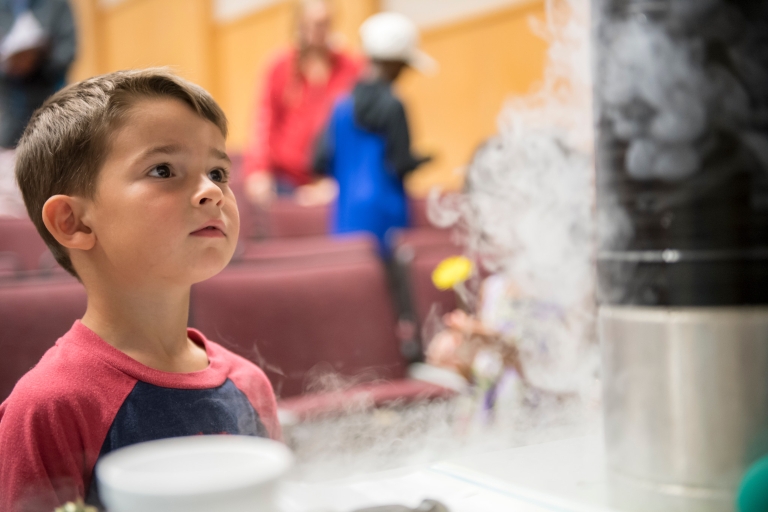 A boy looks at a science experiment