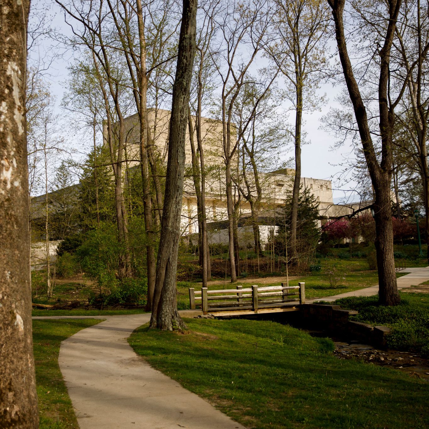 The Musical Arts Center viewed through a wooded area.