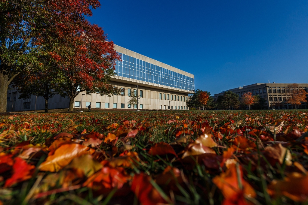 A campus building is surrounded by colorful leaves.