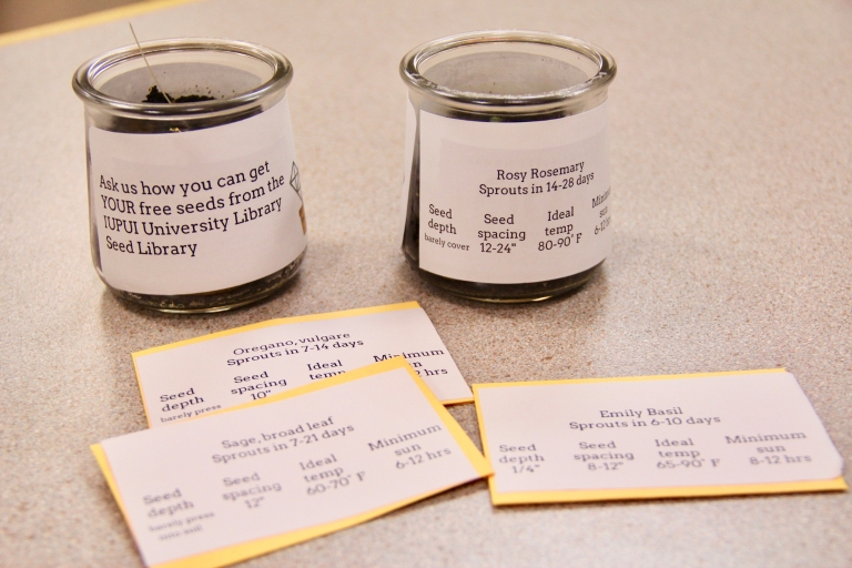 Two small potted herbs and seed envelopes