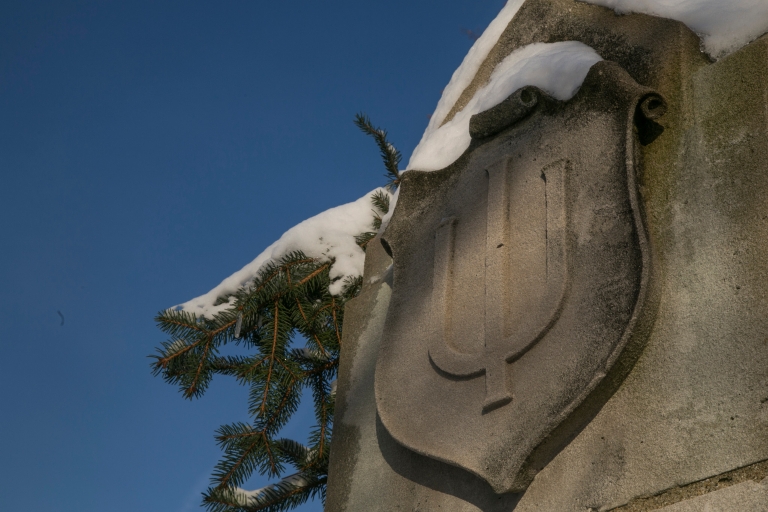 IU crest