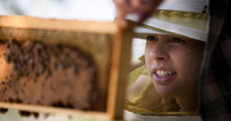 IU alum Ellie Symes examines a frame from a honeybee hive.
