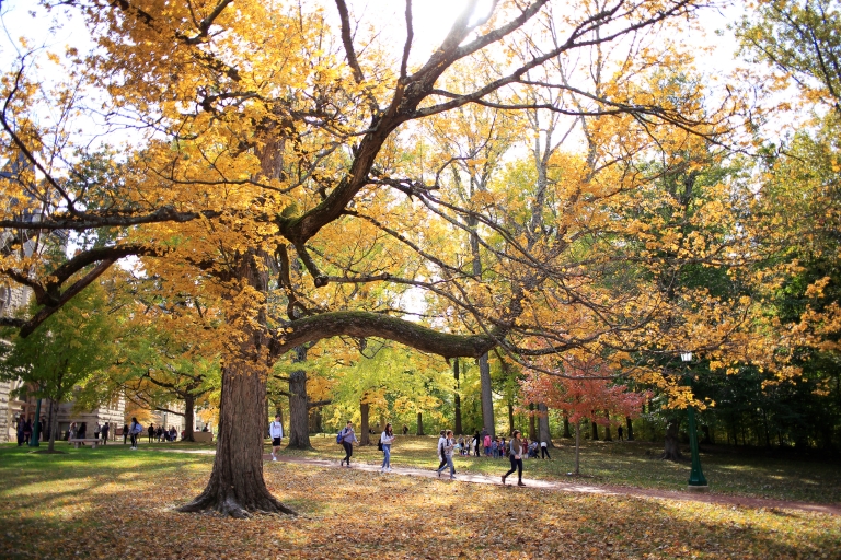 IU's campus during the fall