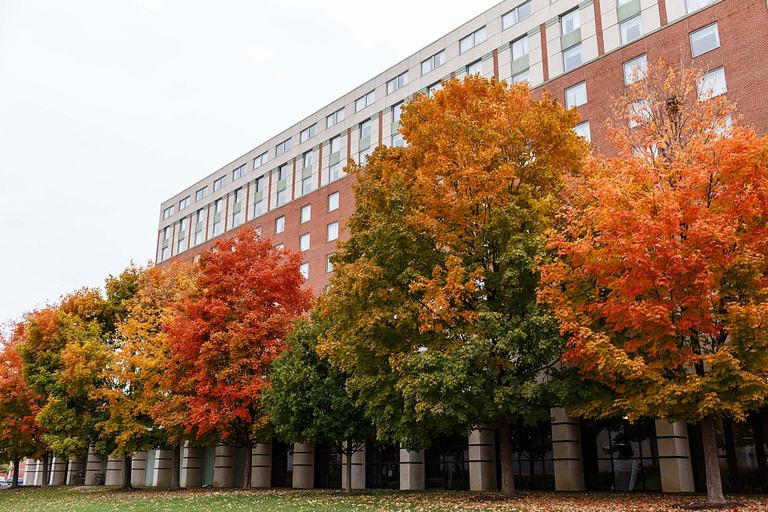 Trees lining west side of University Tower residence hall 
