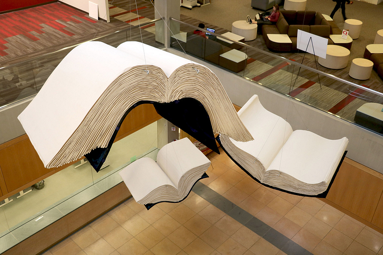 Large books that appear to fly