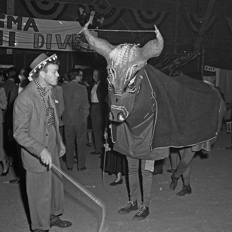 Two students dress as a bull in 1948