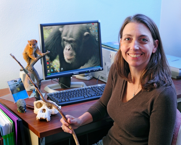 Jill Pruetz at desk with photo of chimpanzee on computer screen