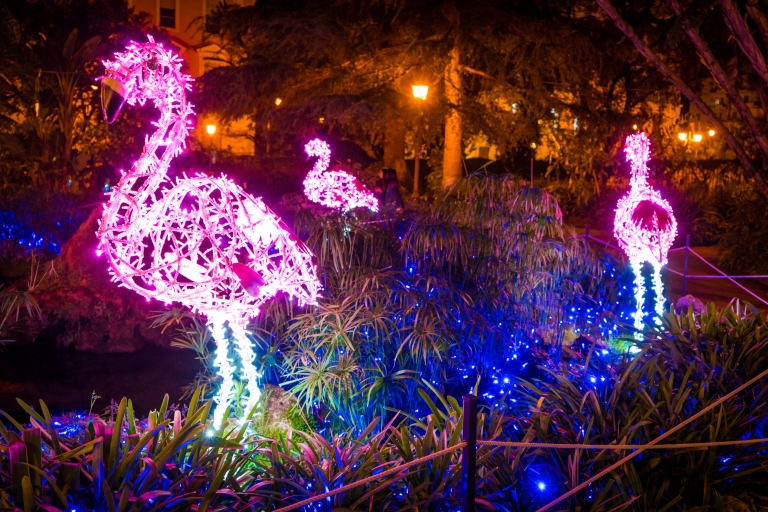 Lit-up pink flamingos at night in a holiday display