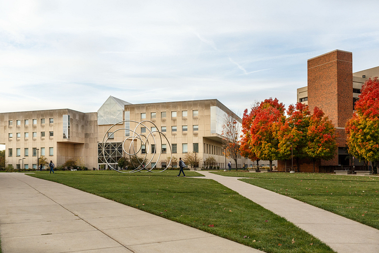 Autumn trees lining the courtyard outside University Library