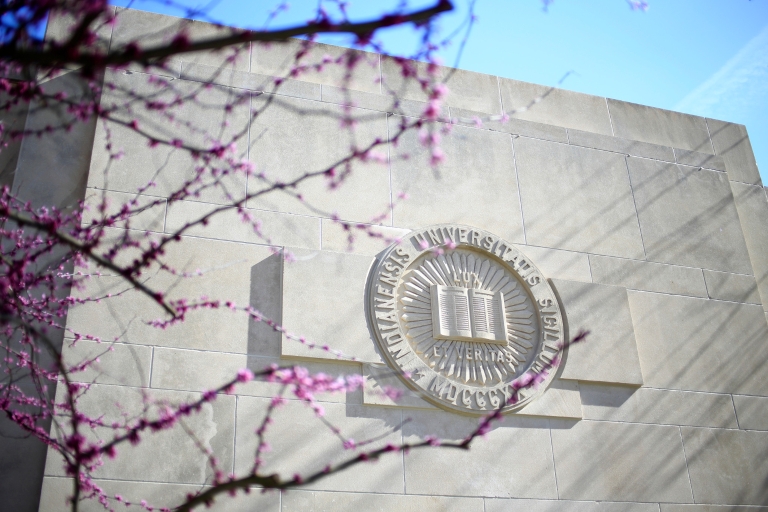 IU seal in limestone