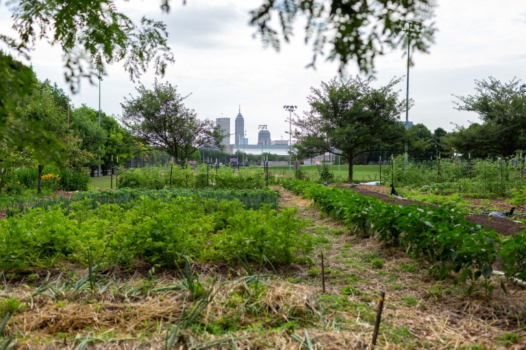 A view of the downtown Indianapolis skyline from the IUPUI Urban Gardens' New York Street location.