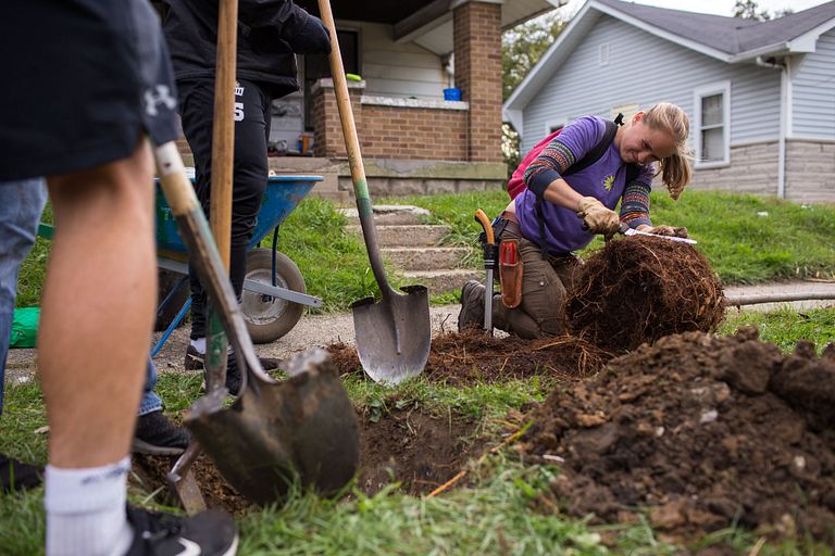 A woman digs in the dirt.
