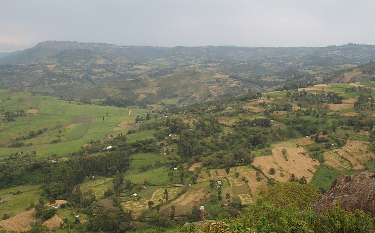A green Kenyan landscape, with houses and farms visible in the distance.