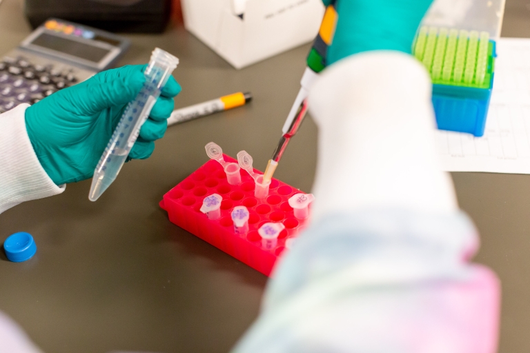 Hands using lab equipment