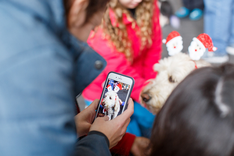 UofL's LALS therapy dog gets as much as he gives